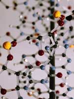 DNA