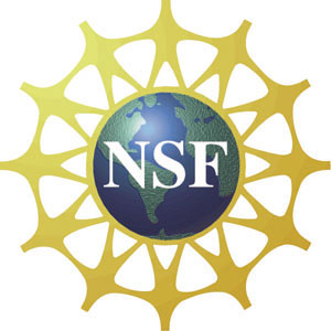 nsf