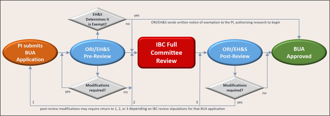 ibc applications