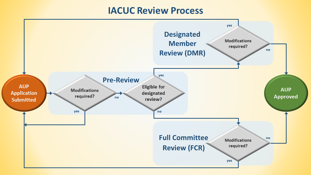 IACUCreviewProcess.png