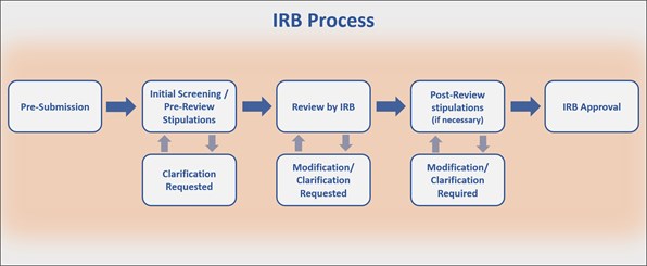 IRBprocess