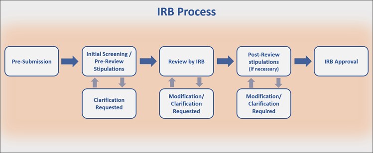 IRBprocess