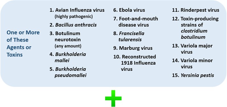 DURCagents